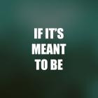 MISFITS - MEANT TO BE