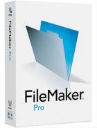 Claris FileMaker Pro v19.5.3.300 (x64)