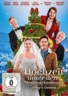 Hochzeit unter dem Weihnachtsbaum