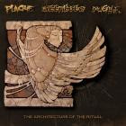Plague Attribute Diligence - The Architecture Of The Ritual