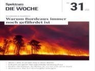 Spektrum Die Woche 31/2026