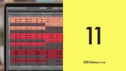 Ableton Live Suite v11.3.3 (x64)