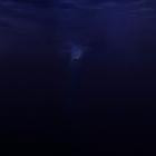 Said The Sky - - Salt & Silence  