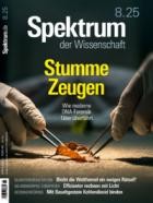 Spektrum Der Wissenschaft 08/2025