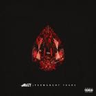 Mozzy - PERMANENT TEARS