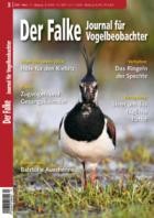Der Falke - Journal fuer Vogelbeobachter 03/2024