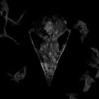 Haast - Dreams of Home