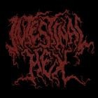 Intestinal Hex - Land Of The Repulsive