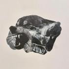 Snotty - Wolves Don't Wear Collars
