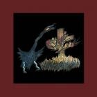 Drive-By Truckers-The Definitive Decoration Day-Remastered Deluxe Edition-WEBMARR