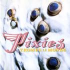 Pixies-Trompe le Monde-24BIT-96KHZ-WEB-FLAC-1991-FLACCiD