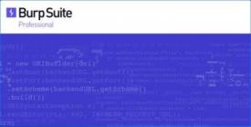 Burp Suite Professional 2021.10.3 Build 10704