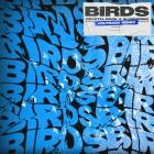 Crystal Rock x Slenderino - Birds (VolTrack Remix)