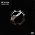 ABE VAN DAM - You Always Knew