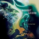 Robert Leiner-Analog Days- ASGDE050LTD -24BIT-WEB-FLAC-2024-BABAS