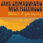 Jake Shimabukuro And Mick Fleetwood - Blues Experience