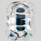 Shaun Moses - Siolim Suspense