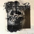 Totenheer - Die schwarze Spinne