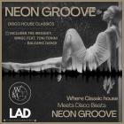 VA - Neon Groove Disco House Classic