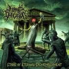 Insanity Deification - Stare of Eternal Dismemberment