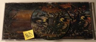 Enragement-Extinguish All Existence- TOR240 -CD-FLAC-2025-86D