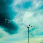 VA-Selected Forms And Figures 2024- FFCOMP3 -16BIT-WEB-FLAC-2024-BABAS