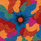 Skinshape - - Nostalgia  