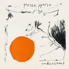 Prize Horse - Under Sound