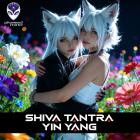 Shiva Tantra - Yin Yang