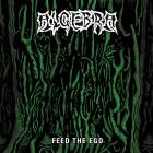 Algebra - Feed the Ego