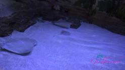 ATKGirlfriends.26.08.20.Lana.Gee.Sarasota.6.XXX.1080p.MP4-WRB
