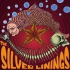 The Silver Linings - Pink Fish