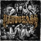 Pintglass - Pintglass