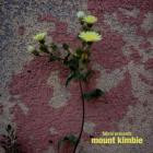 VA - fabric presents Mount Kimbie