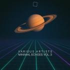 VA - Minimal Echoes Vol 3