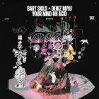 Bart Skils & Deniz Koyu - Your Mind On Acid-SINGLE