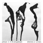 AMAS x F M Grabner-Srdgn X Lpzg- AMAS006 -16BIT-WEB-FLAC-2026-BABAS
