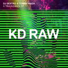 DJ Dextro, Tommy Wada - X Travaganza EP