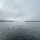 dreamAwaken-Dub And Soul- 7V180 -24BIT-WEB-FLAC-2024-BABAS