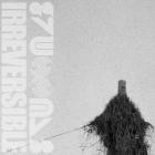 Irreversible - Vessel