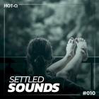 VA - Settled Sounds 010