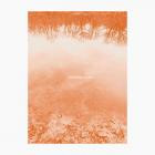 Brad E  Rose - The Sound Leaves