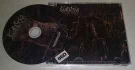 Squassation-Decorated with Feculent Appurtenances- NSE122-01 -CD-FLAC-2025-86D