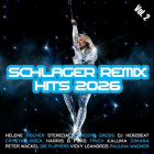 Schlager Remix Hits 2026 Vol.2