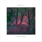 Noodle Therapy-Field Notes- ASIP046 -16BIT-WEB-FLAC-2026-BABAS