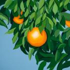 Tyler Ballgame - For The First Time, Again