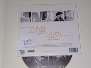 Solomon - It's All Downhill From Here