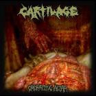 Cartilage - Operating Altar