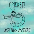 Cricket! - Everything Matters