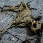 Across The Swarm - Across The Swarm